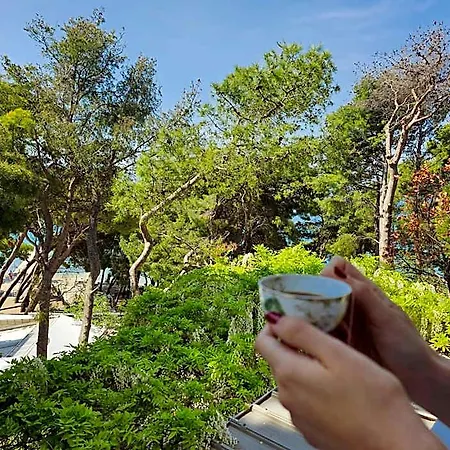 Mirna, 2-bedroom Apartment, Overlooking The Apartment Makarska